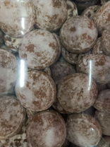 Печенье шоколадное Мишутка(Бостон)3,5кг